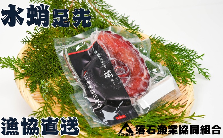 【北海道根室産】ボイル水たこ足先2P(計600g) G-20003