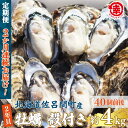 【ふるさと納税】カキ 殻付き 2年貝 約4kg（40個前後） 佐呂間産 ［2回定期便］ 【 ふるさと納税 人気 おすすめ ランキング 牡蠣 カキ かき 貝 牡蠣貝 殻付き ギフト 贈答 冷蔵 海鮮 オホーツク 北海道 佐呂間町 送料無料 】 SRMA042