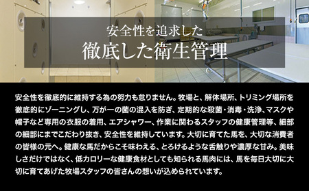 赤身馬刺し400g【純国産熊本肥育】生食用 冷凍《1-5営業日以内に出荷予定(土日祝除く)》送料無料 熊本県 球磨郡 山江村