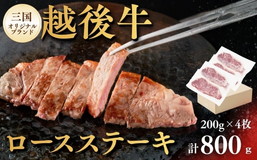 【越後牛 ロースステーキ 800g】200g×4枚 新潟県産ブランド牛 三国 | 越後牛 牛肉 和牛 国産牛 ブランド牛 新潟県産 ロース ロースステーキ ステーキ 焼肉 冷凍 ギフト ぎゅうにく ギュウニク ビーフ beef  新潟県 小千谷市