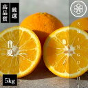 【ふるさと納税】【木成り完熟】新口農園厳選 甘夏 5kg【C70-26】【1470662】