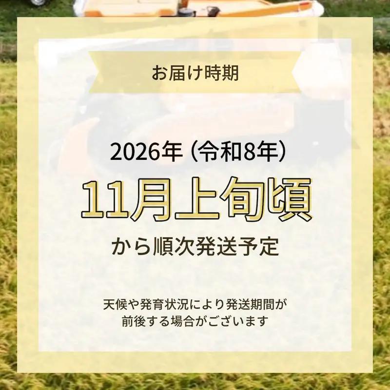 ササニシキ 特別栽培米 無洗米 秋田県産 ササニシキ【4kg(2kg×2袋)】【先行予約】