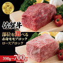 【ふるさと納税】 【部位を選べる】佐賀牛 プロ用ブロック肉 （ロース350g、モモ肉350g） 佐賀牛 食べ比べ 牛ロース モモ肉 国産 ブロック 牛肉 ステーキ ローストビーフ お肉 ブランド牛 九州産 送料無料　A5～A4 人気 ランキング 評価 佐賀県産 黒毛和牛 【D300-008】