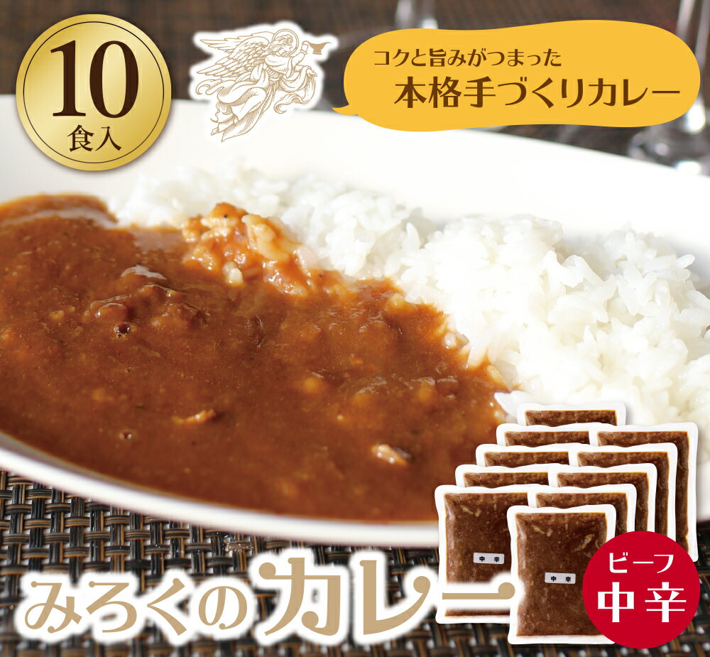 【ふるさと納税】 みろくのカレー10食セット（中辛10食） ビーフカレー 本格 惣菜 冷凍 セット 簡単 グルメ 時短 送料無料 U27-02