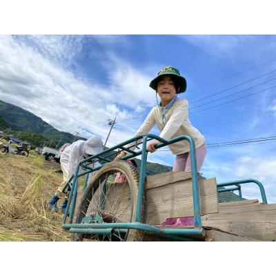 ふるさと納税 千曲市 信州名月　オバステ観月米　5kg |  | 01