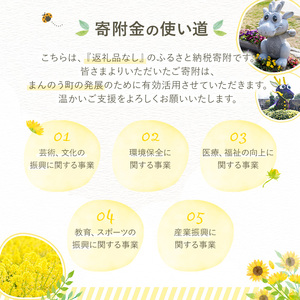 ＜返礼品なし＞ 香川県まんのう町への寄附 (1,000円) 香川県 まんのう町 応援 寄附 返礼品なし【man900】【まんのう町】