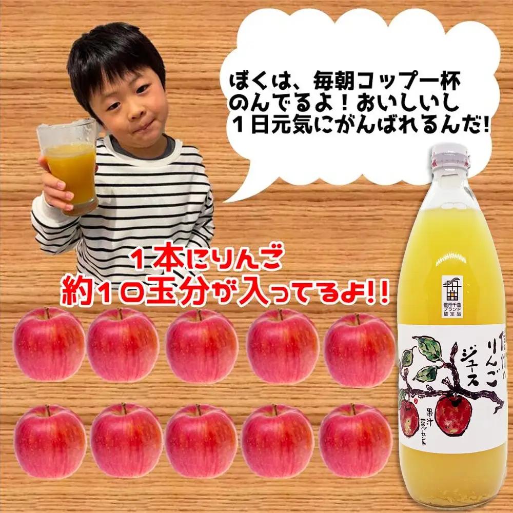 【3か月定期便】信州 サンふじ りんご ジュース 100％ 3本セット｜ りんごジュース