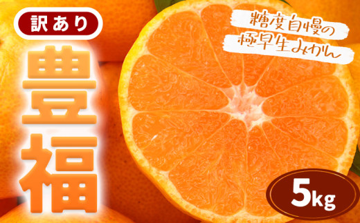 【先行予約】訳あり 極早生みかん 「豊福」5kg 箱入り 都呂々みかん生産者グループ《2026年10月中旬-11月下旬頃出荷》 フルーツ 果物 くだもの 柑橘 みかん ミカン 蜜柑 熊本県 苓北町【配送不可地域あり】