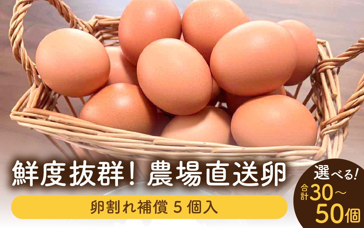 
                  鮮度抜群！農場直送「卵」選べる個数 [A-01603oya] | 卵
                