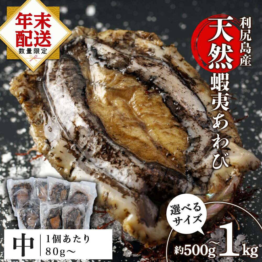 【ふるさと納税】 あわび 北海道 利尻島産 天然蝦夷あわび ＜中＞（80g〜100gサイズ） 選べる500g〜1kg 冷凍あわび ＜利尻漁業協同組合＞北海道ふるさと納税 利尻富士町 ふるさと納税 鮑 天然 冷凍 産地直送 刺身 高級海鮮 海鮮 おせち