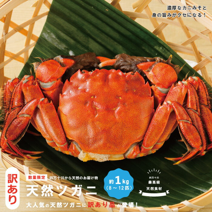 【ふるさと納税】 訳あり 数量限定 天然 ツガニ 約 1kg （8～12匹） 訳アリ 訳あり品 濃厚 うまみ 魚介 蟹 かに カニ つがに モクズガニ もくずがに 人気 お取り寄せ だし 味噌汁 炊き込みごはん 四万十川 グルメ 高知県 高知 四万十市 四万十 しまんと 送料無料 24-030W