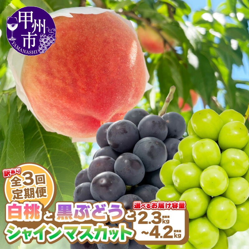 【ふるさと納税】 訳あり フルーツ 定期便 3回 果物 桃 黒ぶどう シャインマスカット 選べる内容量 もも 1kg～2kg以上 ぶどう 800g～1.2kg以上 シャイン 500g～1kg以上 山梨県 甲州市 期間限定 2025年発送 7月 8月 9月 発送 冷蔵 クール 白桃系 葡萄 社員マスカット （AGB）