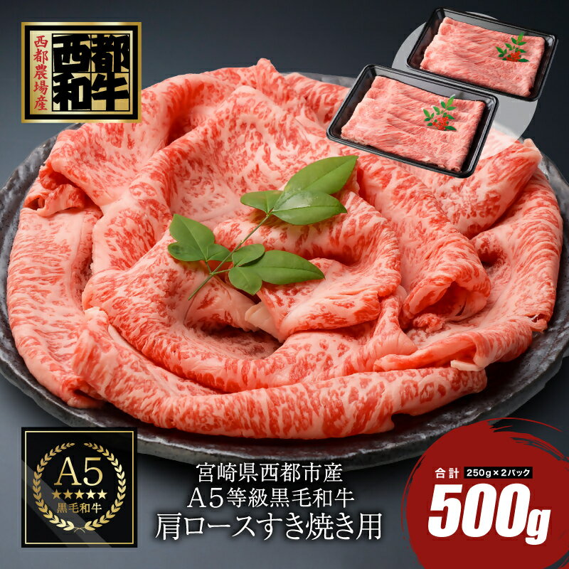【ふるさと納税】宮崎県産『黒毛和牛』肩ローススライス500g（250g×2）〈1.2-20〉カミチクファーム ふるさと納税 すき焼き 国産 牛肉 小分け 送料無料