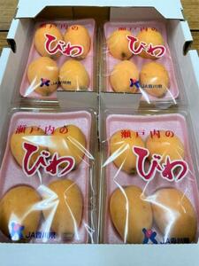 【さぬき讃フルーツ】びわ なつたより 約1kg(約250g×4パック)×2箱