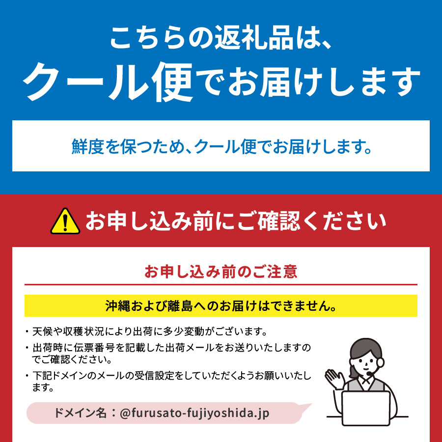 【2025年先行予約】【3回定期便】山梨県産 旬のフルーツセット(桃・ピオーネ・シャインマスカット)