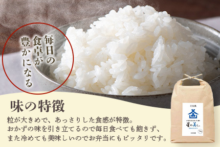 石垣島産 星の美(かい)しゃ 5kg みやぎ米屋【 日本一早い新米の産地 お米 産地直送 旬 ほしじるし 沖縄県 石垣市 送料無料 】MK-3