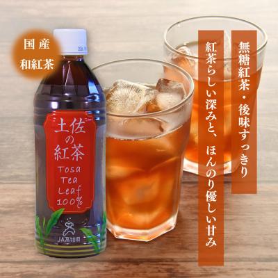 ふるさと納税 佐川町 土佐の紅茶 無糖 500ml×24本 1ケース JA高知県 佐川町産茶葉使用 |  | 01