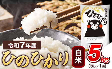 白米 ひのひかり 5kg 精米