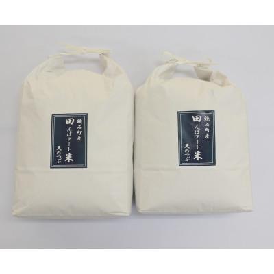 ふるさと納税 鏡石町 令和8年産かがみいし田んぼアートの福島県オリジナル品種「天のつぶ」玄米　10kg(5kg×2袋)