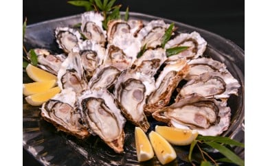 B150-18 芦北真牡蠣（加熱調理用）2㎏