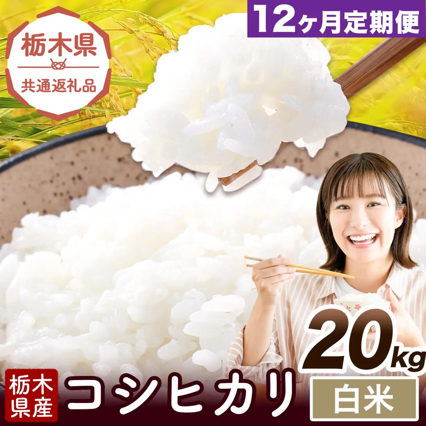 【12ヶ月定期便】令和7年度産 米 栃木県産 コシヒカリ 白米 20kg《お申込み翌月から出荷》栃木県 野木町 米 白米 精米 国産 お米 おこめ お弁当 おにぎり【栃木県共通返礼品】