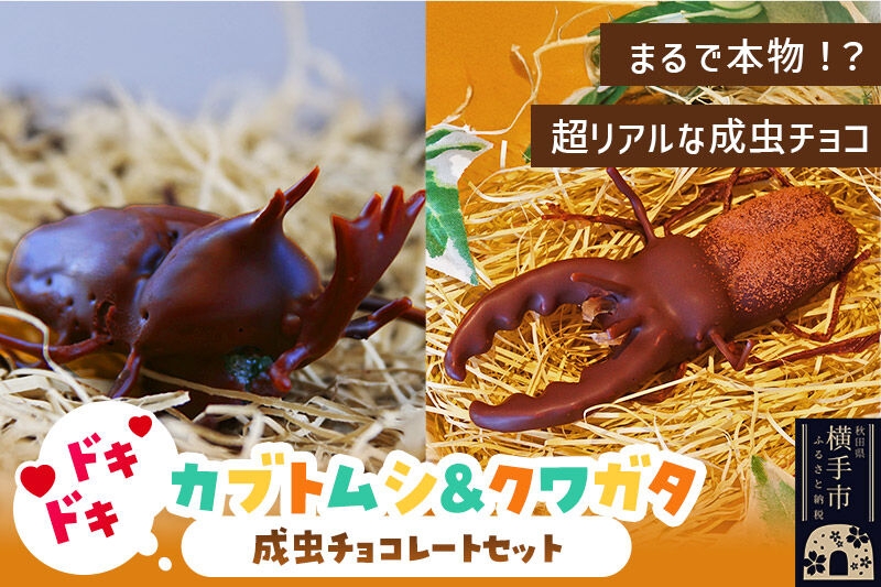 
カブトムシの成虫チョコレート&クワガタチョコレート 小松屋本店 プレゼント インスタ映え お菓子 スイーツ チョコ チョコレート ギフト
