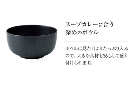 【美濃焼】 miyama.のカレーのうつわ スープのカレー皿 2点セット 鉄釉 瑞浪市 / ミヤマプランニング 食器 皿 ボウル [AZCM060]