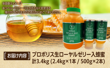 蜂蜜 コハマのハチミツ プロポリス 生ローヤルゼリー入蜂蜜 計3.4kg (2.4kg×1本 / 500g×2本)   BCAQ010