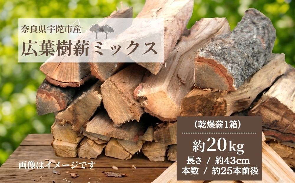 
                  宇陀市産 広葉樹ミックス 薪 約20kg×1箱 ／ ふるさと納税 広葉樹 薪ストーブ用 暖炉用 焚き火用 キャンプ コナラ クヌギ 樫 火持ちが良い 機械乾燥 43cm 奈良県 宇陀市 薪屋しろべい
                