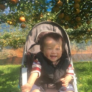 【久和田農園】 甘味がぎゅっと あたご梨 2kg なし フルーツ 梨 果物 広島県三原市 034009