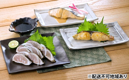 瀬戸内海産 さわら づくし【配達不可：離島】 加工食品 詰め合わせ 魚貝類 魚介類 