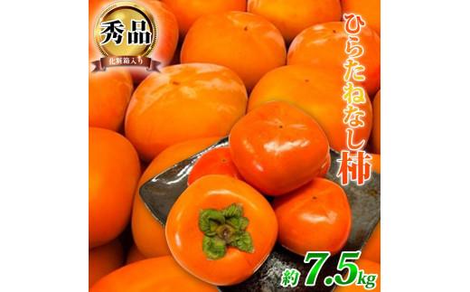 
                  平核無柿（ひらたねなしがき）約７.５kg　和歌山秋の味覚［2026年発送］［UT37］
                