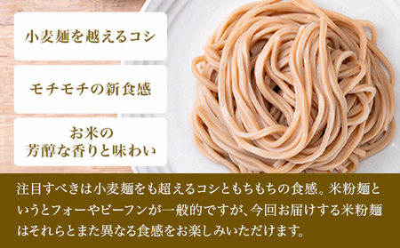 【3ヶ月定期便】米粉麺 国産 流山のおいしいおこめで作った米粉麺 玄米 5食 定期便 1食120g 南流山内視鏡おなかクリニック《お申込み月の翌月から発送》グルテンフリー 米粉 お米の麺 パスタ ラー