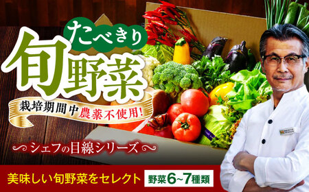 【シェフの目線】野菜 （6-7種）　少量食べきりセット　 野菜 やさい 少量セット 食べきり[AGBX043]