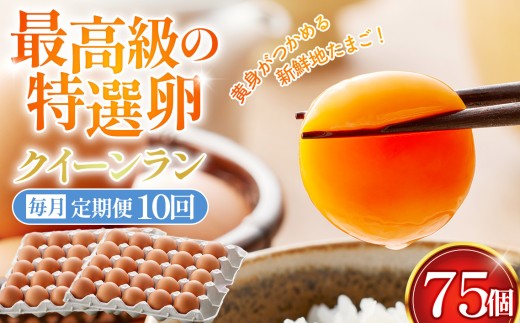 【毎月定期便】黄身がつかめる新鮮地たまご クイーンラン 赤玉 75個入り全10回 ／ 卵 毎月発送 定期便 新鮮卵 卵かけご飯 TKG 濃厚卵 黄身 弾力卵 生卵 卵料理 大容量 卵まとめ買い 新鮮食材 朝食食材 料理食材 家庭用卵 No.595