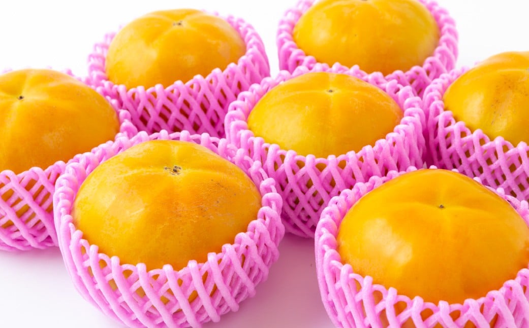 【先行予約】 西見柿農園 太秋柿 9玉から12玉 （約5kg）