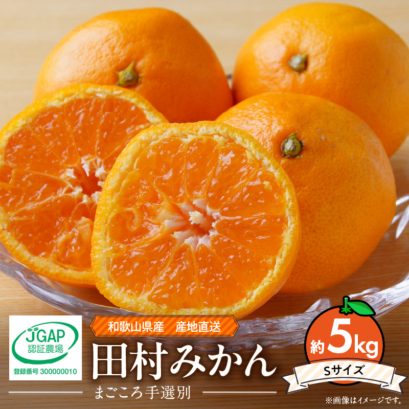 【2026年先行予約】和歌山 湯浅町産 田村みかん 約5kg【Sサイズ】_ZE6485