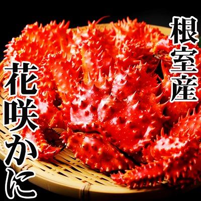 ふるさと納税 根室市 【北海道根室産】花咲かに300〜450g前後×8尾 C-70005