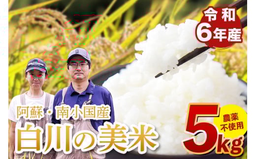 令和６年産 白川の美米 ５kg 令和6年産 南小国産 玄米 白米 3分づき 5分づき 7分づき 森のくまさん 精米 米 お米 ご飯 ごはん 無農薬 農薬不使用 自然栽培 産地直送 熊本 南小国 送料無料