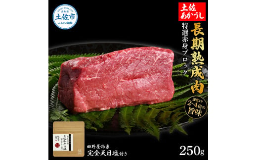 特選 赤身ブロック 土佐あかうし 長期熟成肉 250g 田野屋銀象 完全天日塩付き 赤身 牛肉 ブロック 肉 お肉 和牛 国産 牛 熟成肉 ブロック肉 豪華 贅沢【株式会社LATERAL】 [BQAU029]