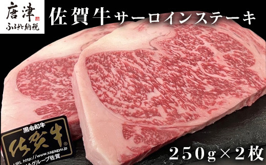 
佐賀牛サーロインステーキ 250g×2枚(合計500g) 牛肉 ステーキ BBQ アウトドア 「2024年 令和6年」
