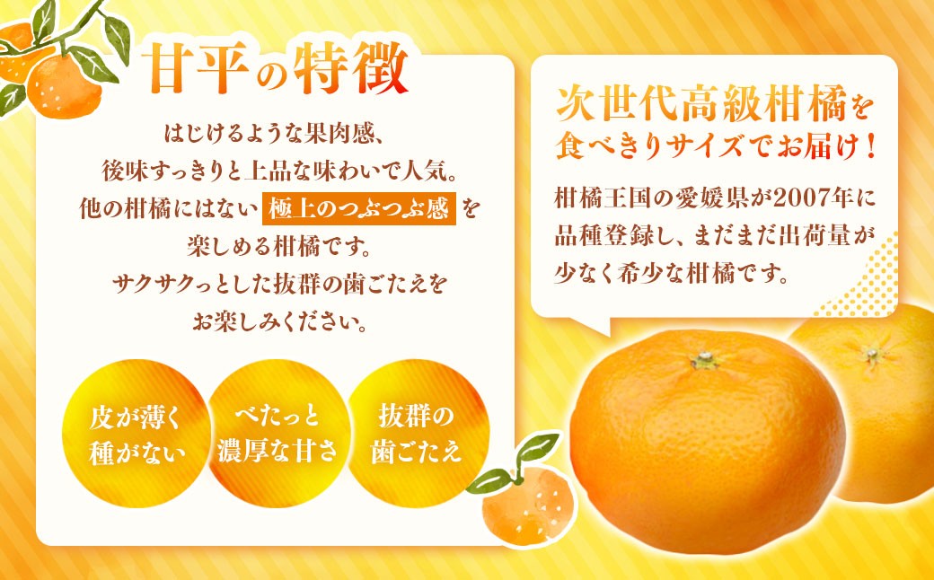 甘平 約2kg