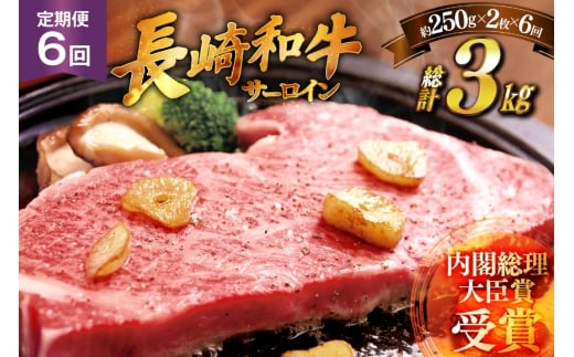和牛 ステーキ 長崎和牛 サーロイン 250g 2枚 ソース付き 6回 定期便 計3kg [萩原食肉産業 長崎県 平戸市 hr42bgy410032] 肉 牛肉 焼肉 にく 平戸 希少 鉄板焼き