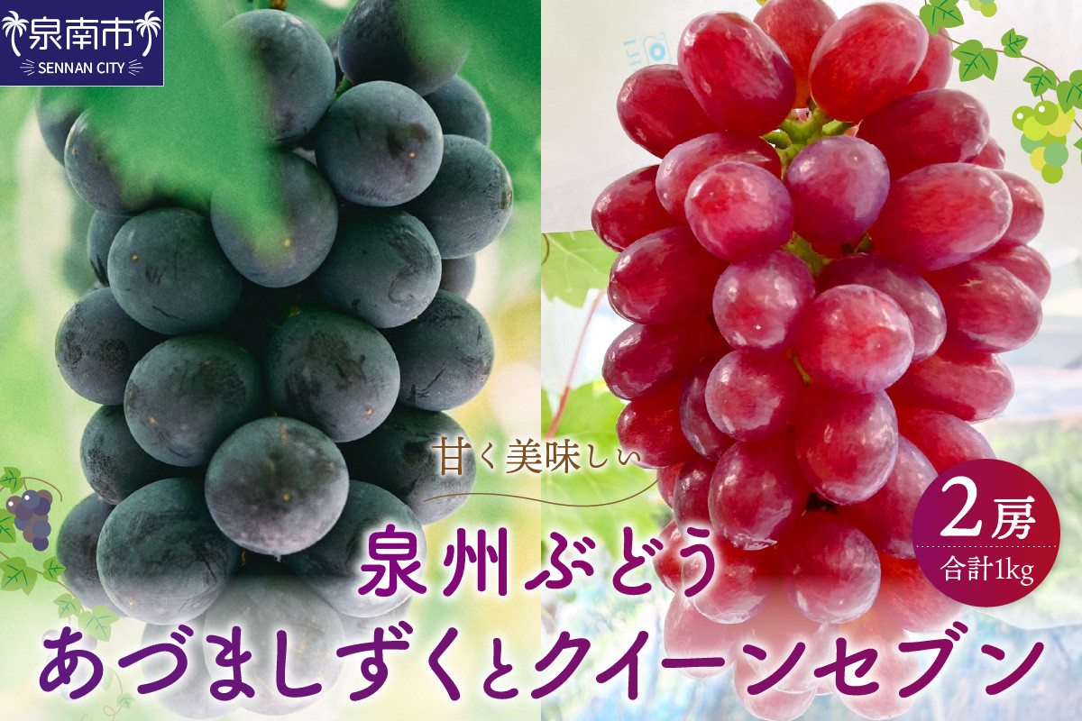 
                  泉州ぶどう あづましずくとクイーンセブンの彩りセット【065D-017】
                