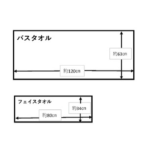 W premier フェイスタオル4枚　(009_5029_01)