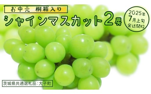 【 お中元 桐箱入り】 シャインマスカット ２房 【2025年7月上旬発送開始】(茨城県共通返礼品：大子町) ぶどう 葡萄 マスカット フルーツ 果物 贈答用 ギフト 贈り物