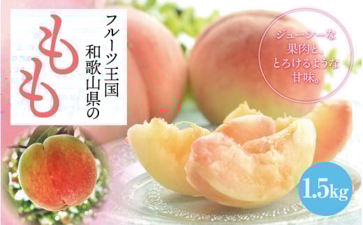 【数量限定】【和歌山ブランド】【厳選】和歌山のこだわり桃　約1.5kg（５～６玉）【ard057C】