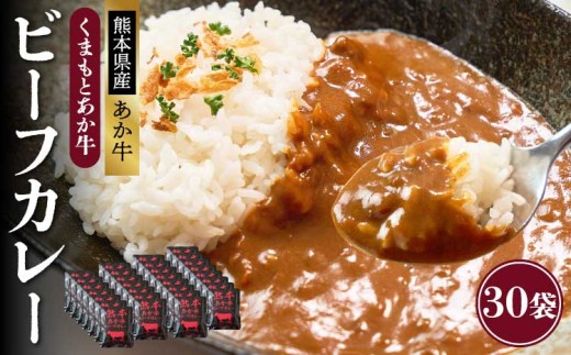 ビーフカレー 熊本県産あか牛使用 【くまもとあか牛ビーフカレー】 30人前 カレー あか牛