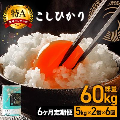 ふるさと納税 笠間市 【毎月定期便】茨城県笠間市 コシヒカリ 精米 10kg(5kg×2袋)全6回