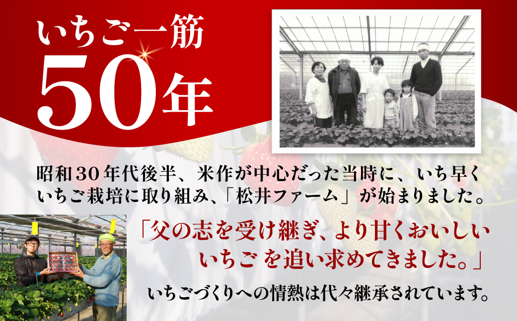 前橋市産いちご「やよいひめ」贈答用化粧箱入り 1600g 2027年 先行予約